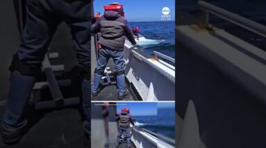 Fishermen rescued from sinking ship six miles off coast