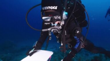 Five Italian divers killed in cave dive in the Maldives