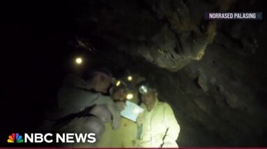 Five people trapped in cave found alive