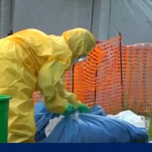 Global health update: Hantavirus, Ebola