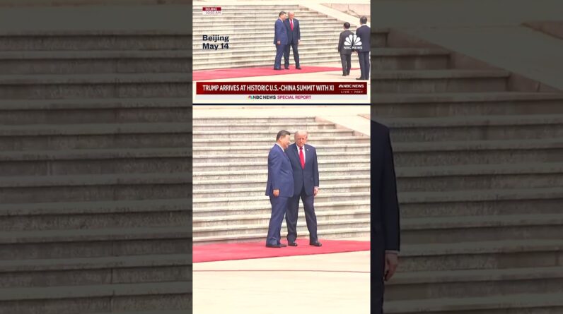 President Trump and Chinese President Xi Jinping shake hands ahead of their bilateral talks.