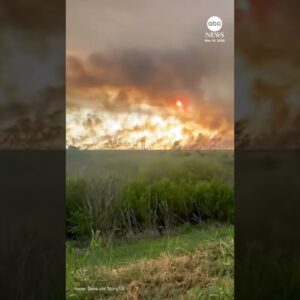 Huge plumes of smoke rise from Florida Everglades wildfire