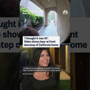 ‘I thought it was AI’: Video shows bear at front door