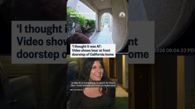 ‘I thought it was AI’: Video shows bear at front door