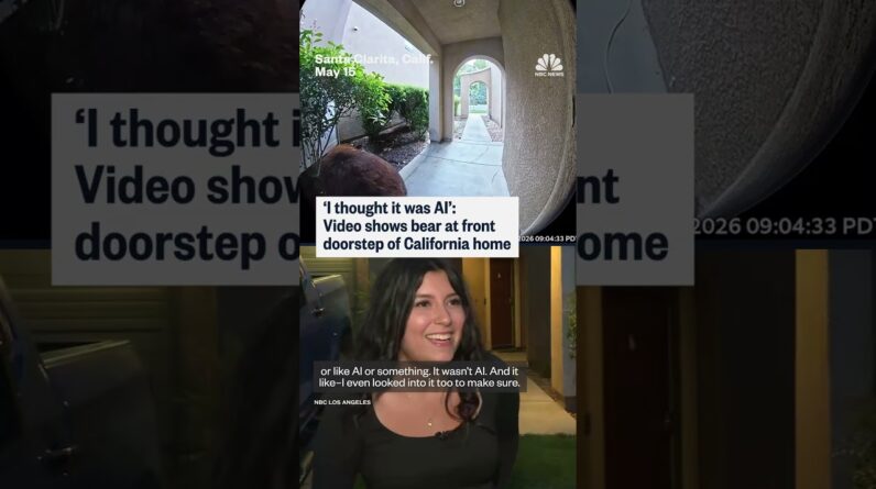 ‘I thought it was AI’: Video shows bear at front door