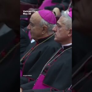 Pope Leo warns of the risks of artificial intelligence