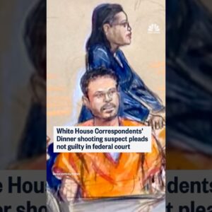 White House Correspondents’ Dinner shooting suspect pleads not guilty in federal court