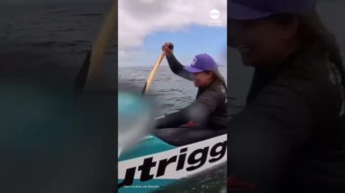 Sea lion jumps onto canoe during race off California coast