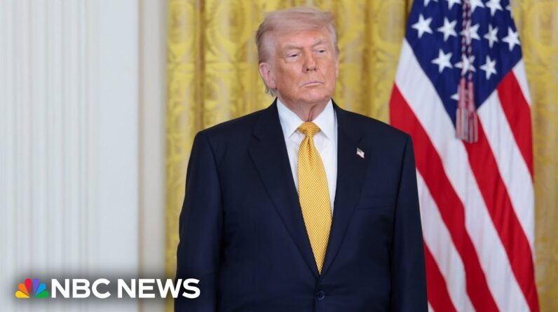 Fmr. government watchdog says Trump stock trades are ‘completely unprecedented’