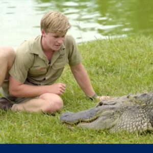 Vibe Check: Kevin Hart roast, Robert Irwin’s croc tale and Josh Groban