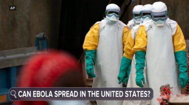 What does Ebola do to the body?