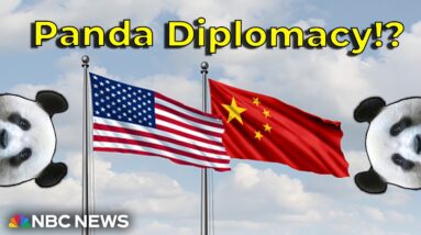 What’s Going On…With Panda Diplomacy!?