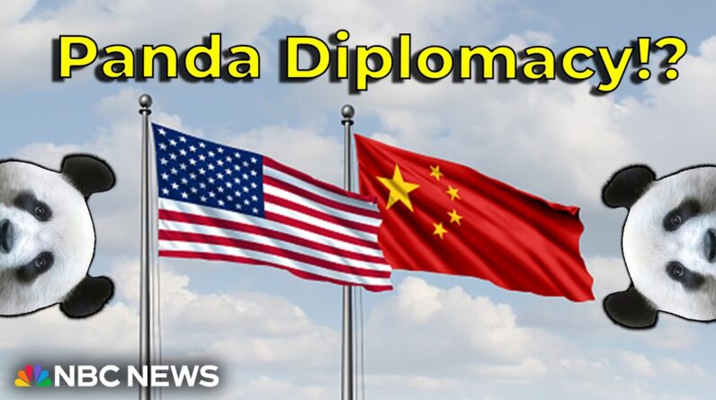 What’s Going On…With Panda Diplomacy!?