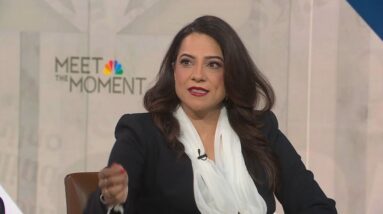 Reshma Saujani says having kids ‘absolutely’ has become ‘financial decision’: Full interview