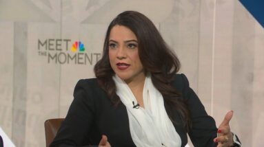 Reshma Saujani says having kids ‘absolutely’ has become ‘financial decision’: Full interview