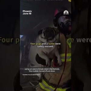 First responders rescue multiple pets from a fire in an Arizona mobile home