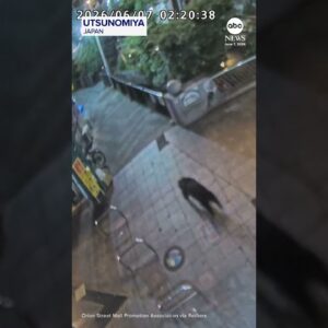 Bear sighting forces school closures in Japanese city