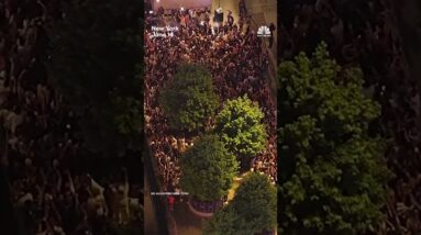 Bird's-eye views of Knicks fans celebrating
