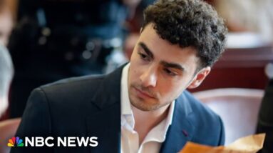 Luigi Mangione will use psychiatric defense in state murder trial 
