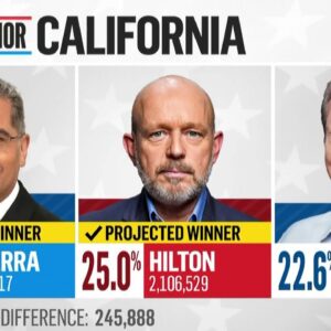 Steve Hilton advances to the general election for California governor 