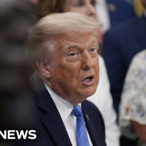 Trump voices support for Sen. Collins and calls Platner 'a thug'