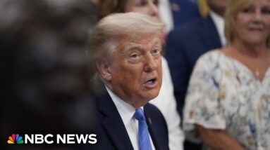 Trump voices support for Sen. Collins and calls Platner 'a thug'