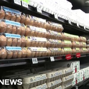 Walmart digital price tags collide with anxiety over 'surveillance pricing'