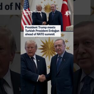 Turkish President Erdoğan meets President Trump ahead of the NATO summit