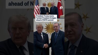 Turkish President Erdoğan meets President Trump ahead of the NATO summit