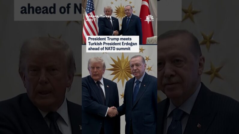 Turkish President Erdoğan meets President Trump ahead of the NATO summit
