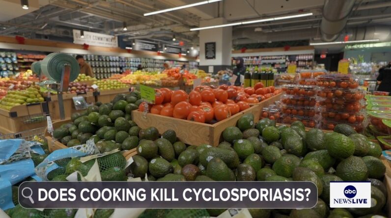 What you need to know about cyclosporiasis: How it spreads, how it's treated