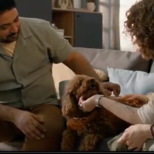 Pet owners are going to extreme lengths to pamper the pups they call family