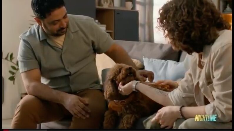 Pet owners are going to extreme lengths to pamper the pups they call family